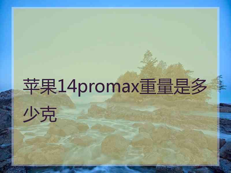 苹果14promax重量是多少克