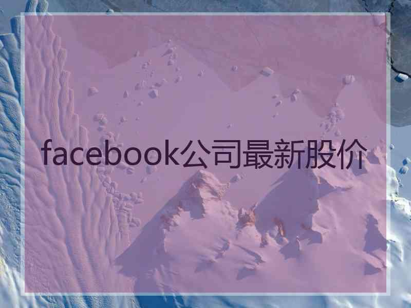 facebook公司最新股价