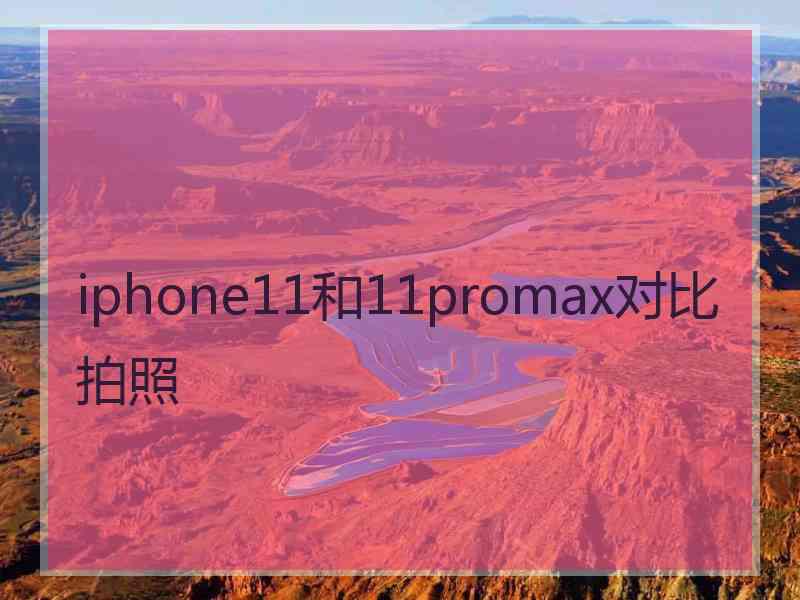 iphone11和11promax对比拍照