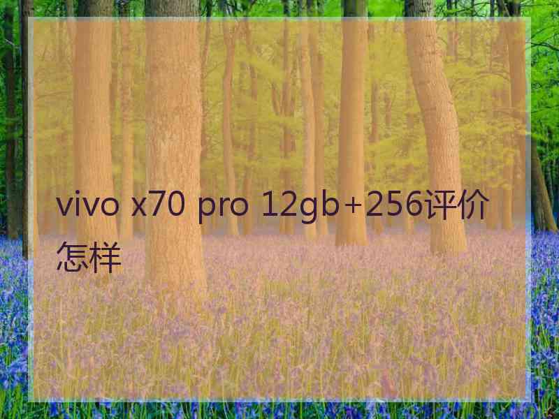 vivo x70 pro 12gb+256评价怎样