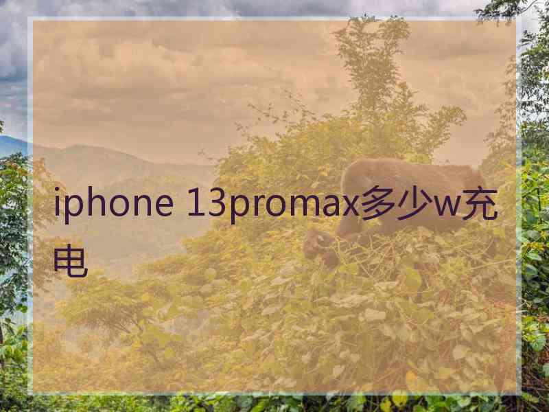 iphone 13promax多少w充电