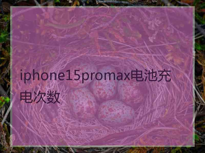 iphone15promax电池充电次数