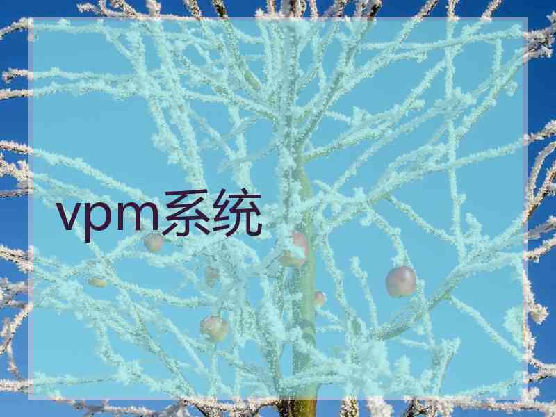 vpm系统