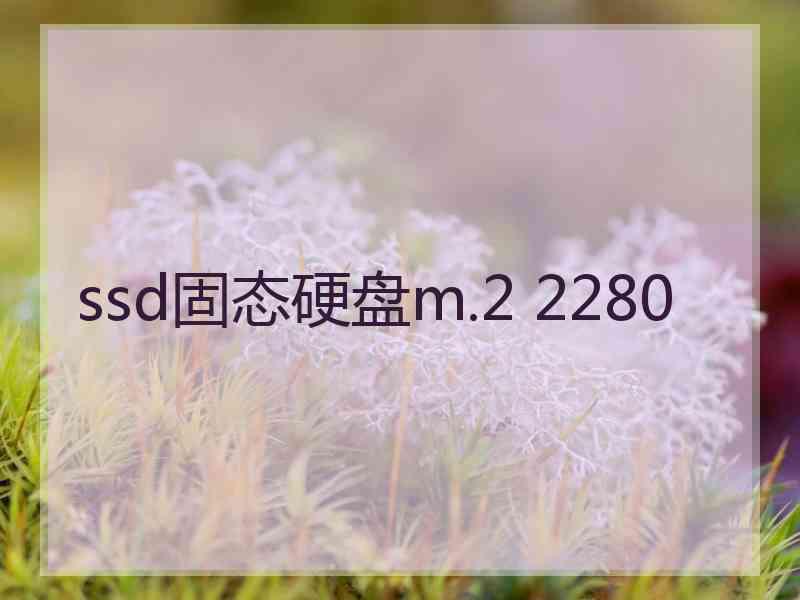 ssd固态硬盘m.2 2280