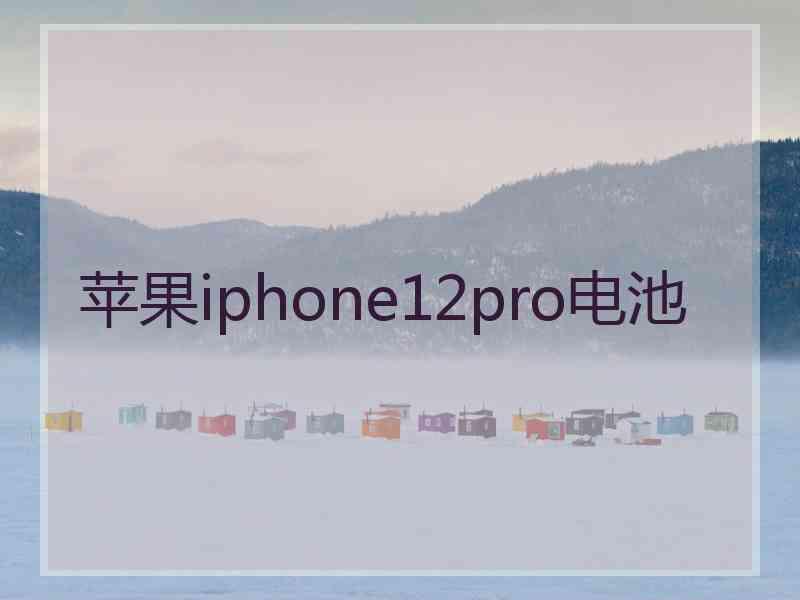 苹果iphone12pro电池