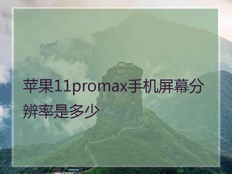 苹果11promax手机屏幕分辨率是多少