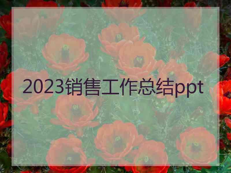 2023销售工作总结ppt