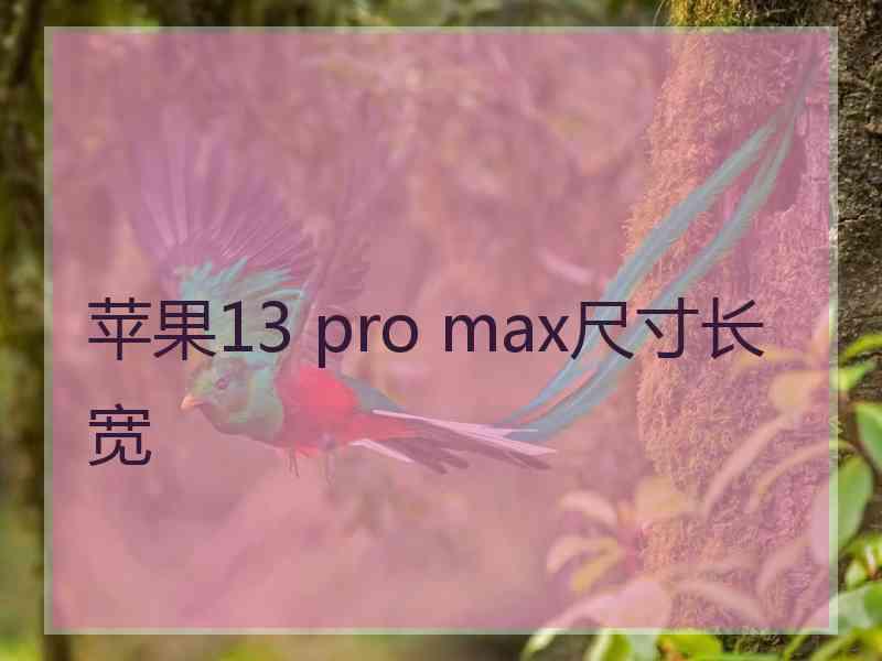 苹果13 pro max尺寸长宽