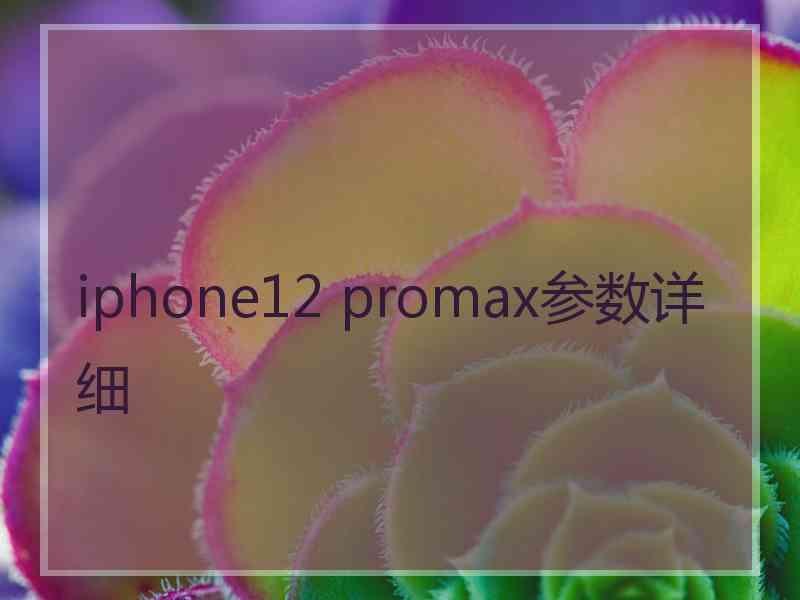 iphone12 promax参数详细