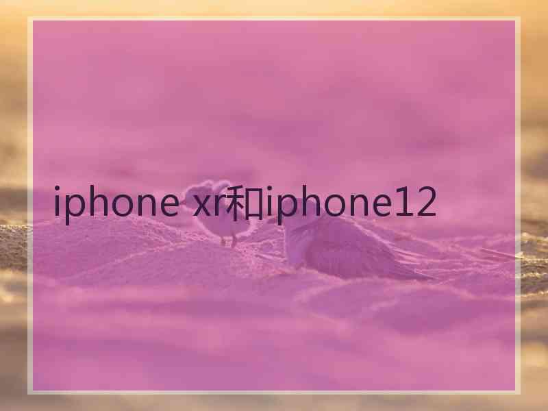 iphone xr和iphone12