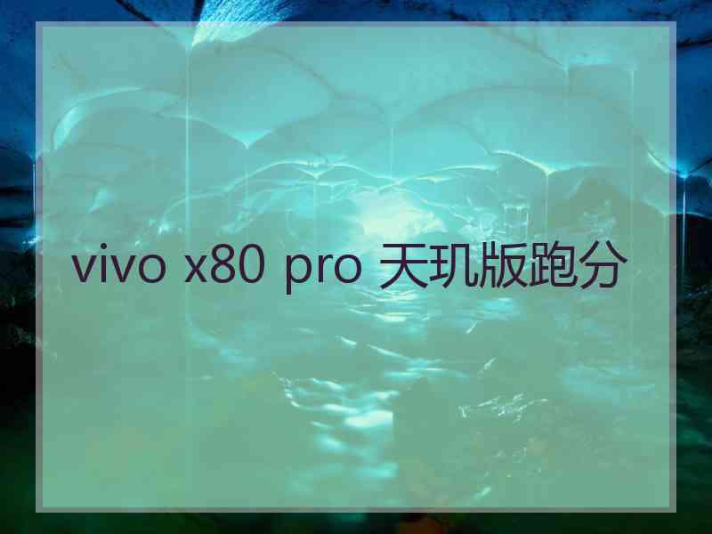 vivo x80 pro 天玑版跑分