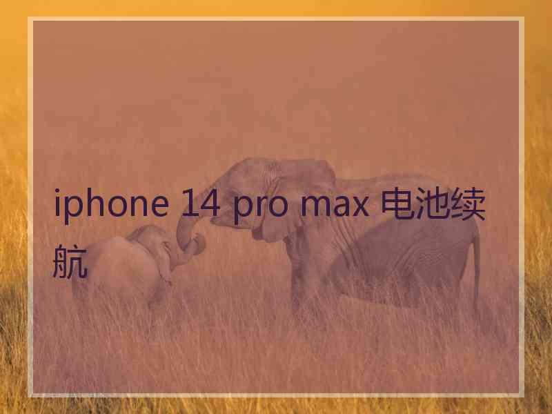 iphone 14 pro max 电池续航