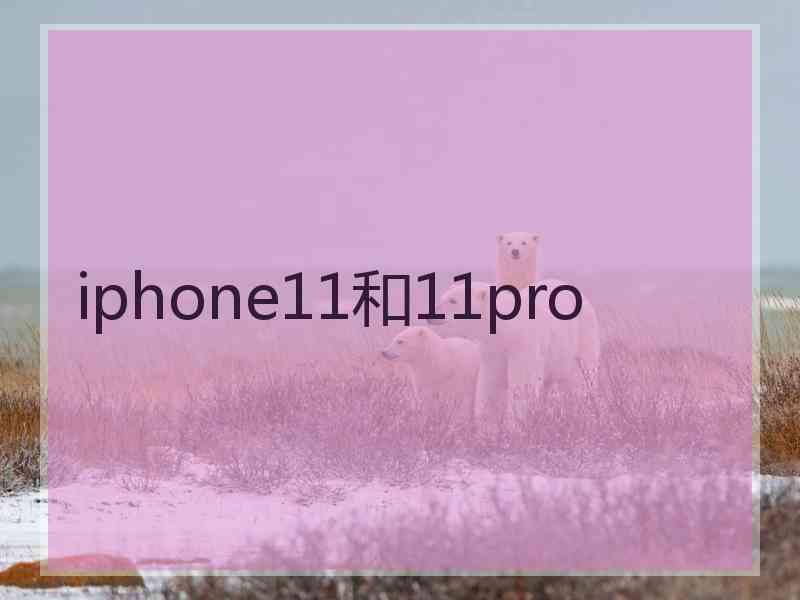 iphone11和11pro