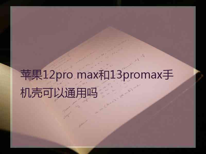 苹果12pro max和13promax手机壳可以通用吗