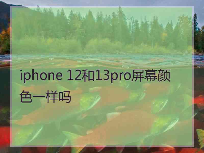 iphone 12和13pro屏幕颜色一样吗