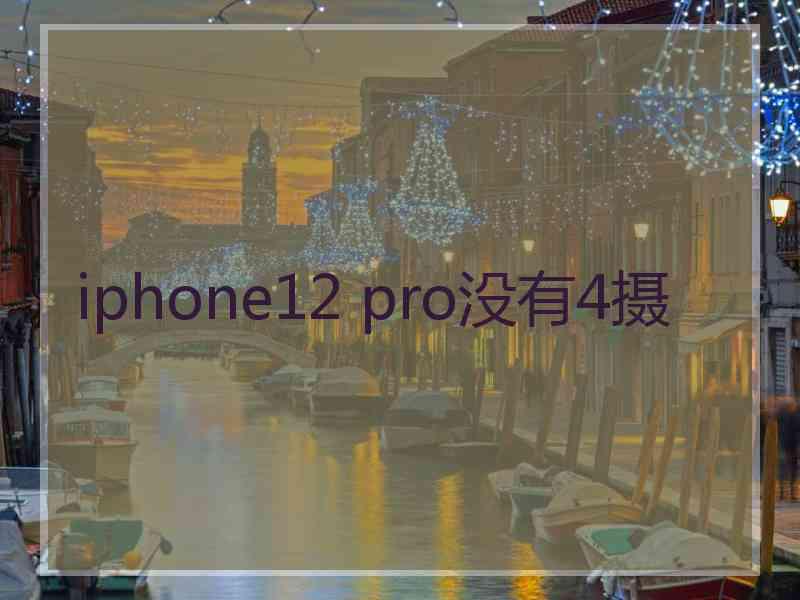 iphone12 pro没有4摄