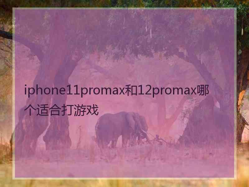 iphone11promax和12promax哪个适合打游戏