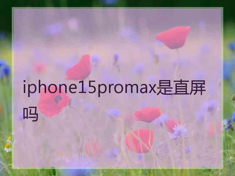 iphone15promax是直屏吗