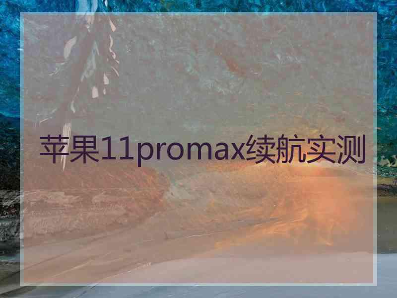 苹果11promax续航实测