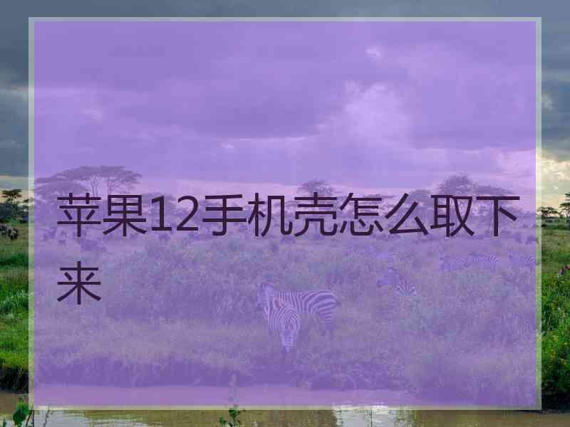 苹果12手机壳怎么取下来