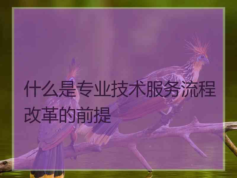 什么是专业技术服务流程改革的前提