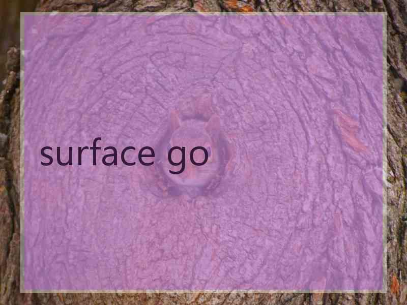 surface go