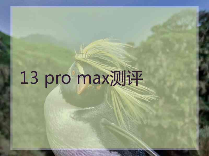 13 pro max测评