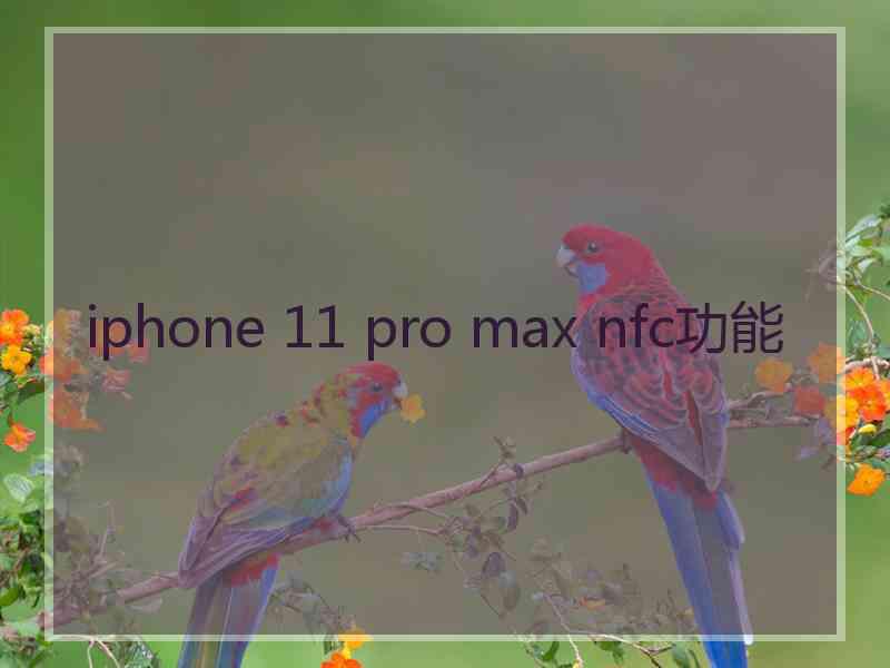 iphone 11 pro max nfc功能