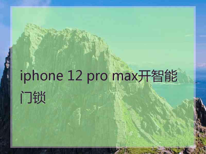 iphone 12 pro max开智能门锁