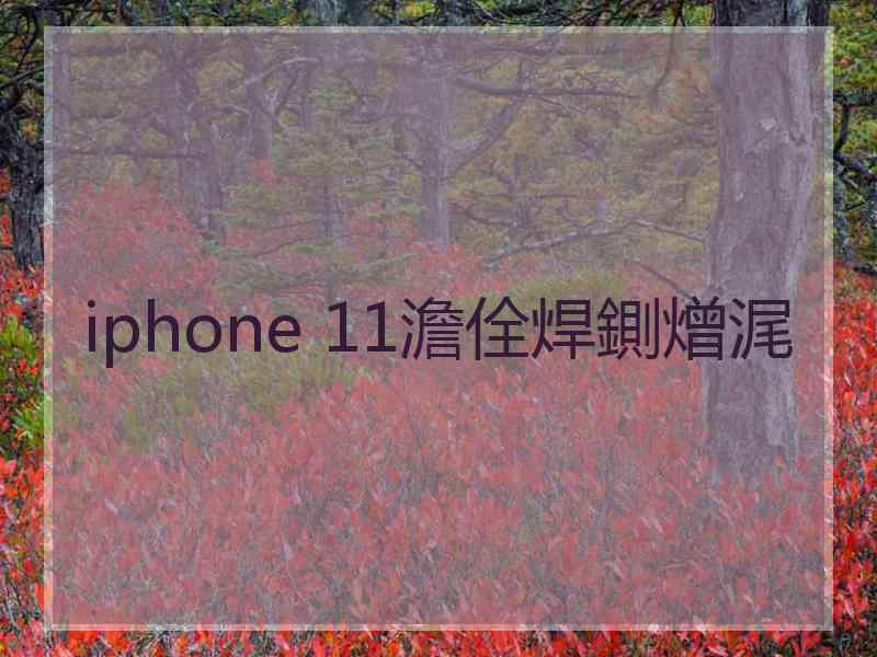 iphone 11澹佺焊鍘熷浘