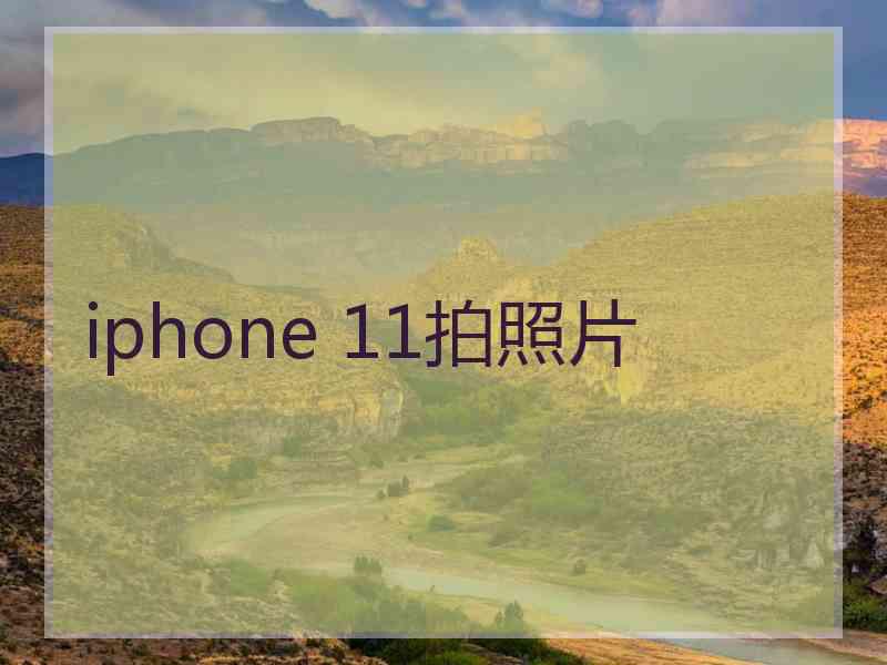 iphone 11拍照片