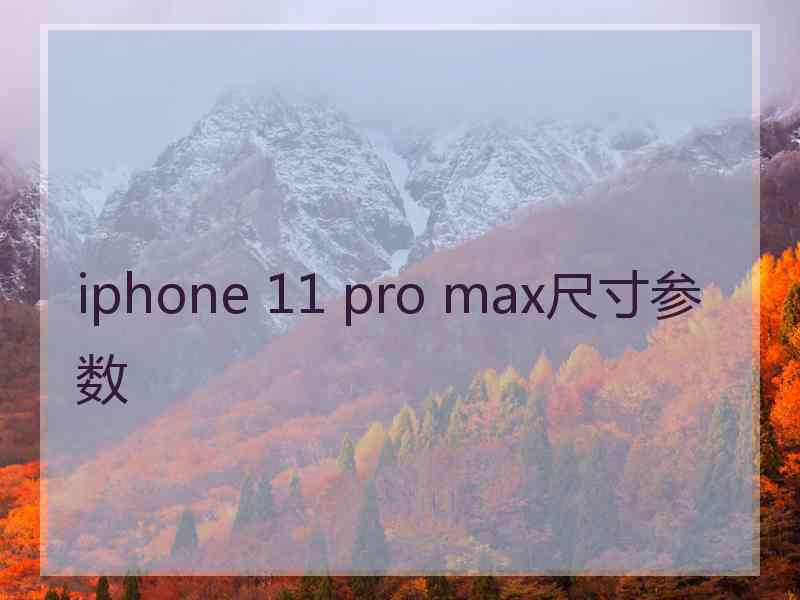 iphone 11 pro max尺寸参数