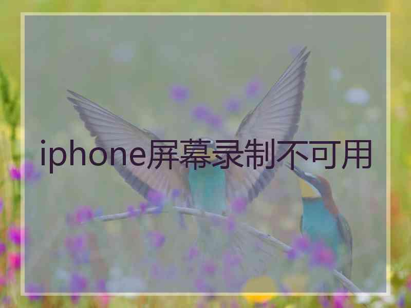 iphone屏幕录制不可用