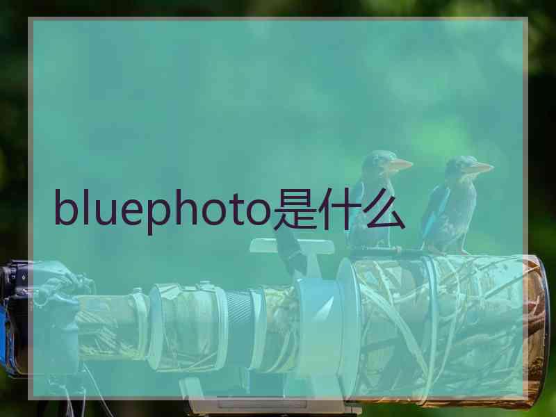 bluephoto是什么