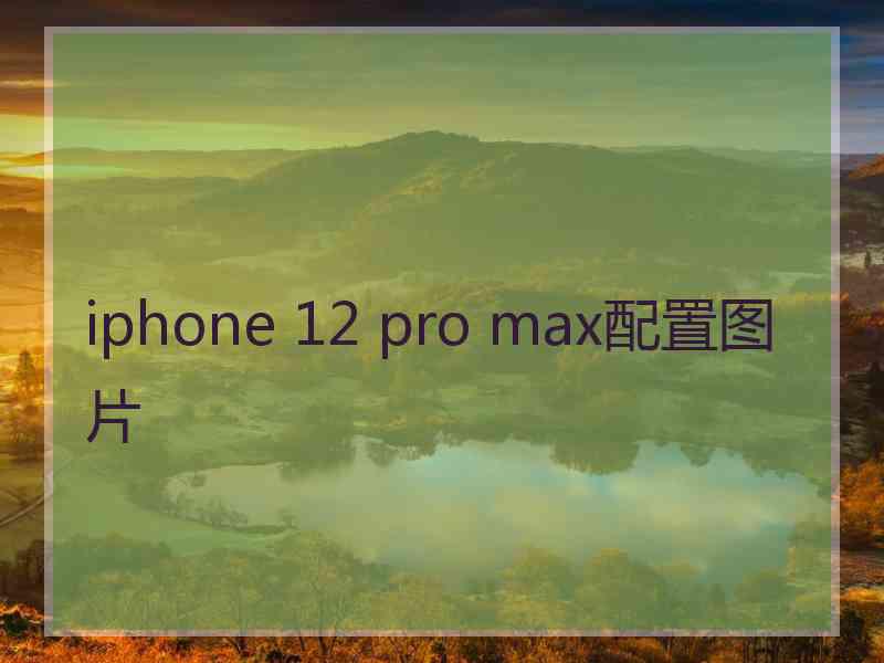 iphone 12 pro max配置图片