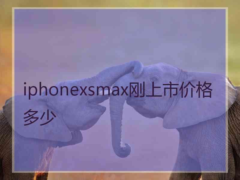 iphonexsmax刚上市价格多少