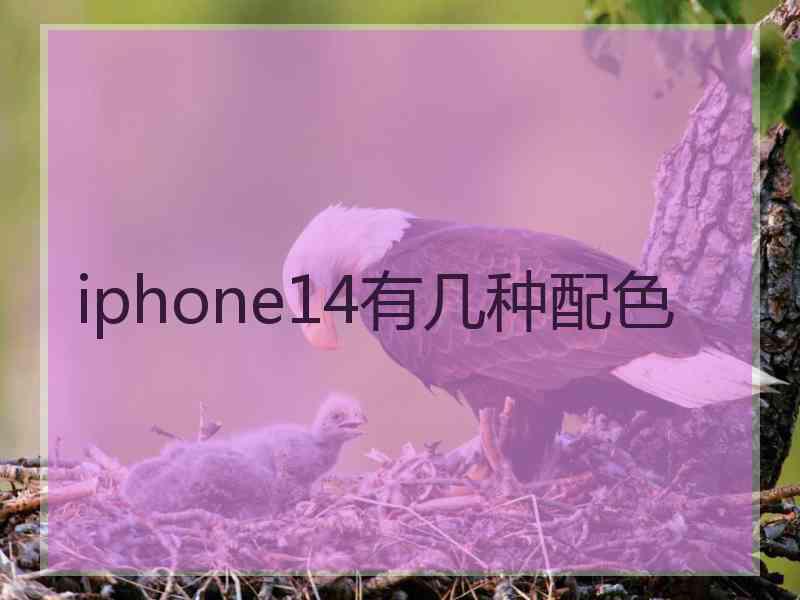 iphone14有几种配色