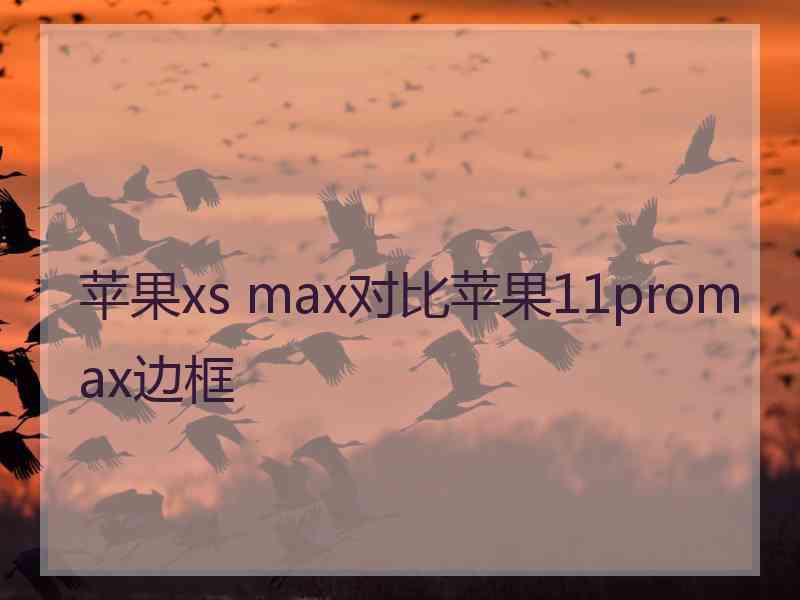 苹果xs max对比苹果11promax边框