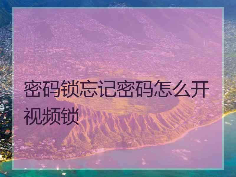 密码锁忘记密码怎么开视频锁