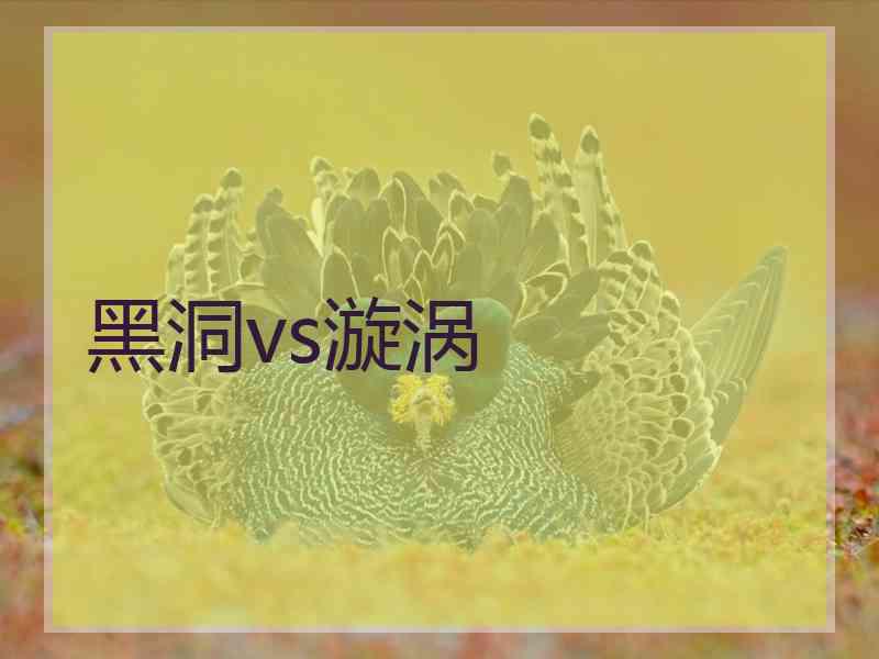 黑洞vs漩涡