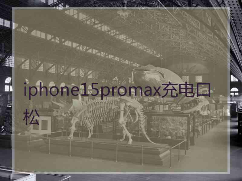 iphone15promax充电口松