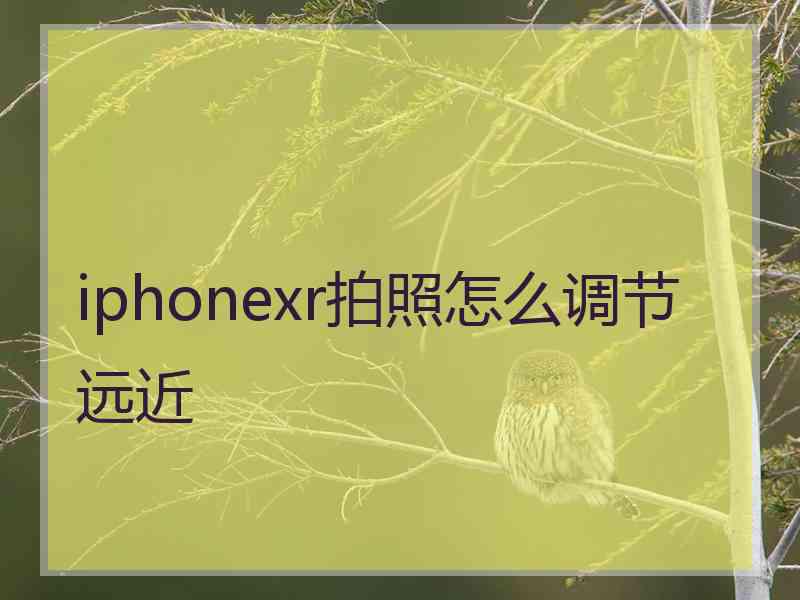 iphonexr拍照怎么调节远近