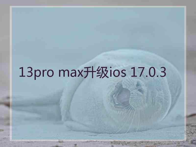 13pro max升级ios 17.0.3