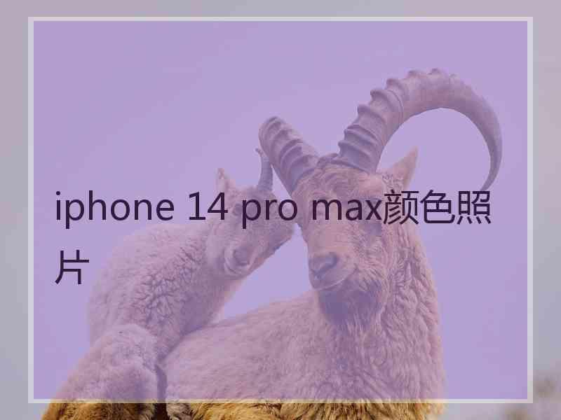 iphone 14 pro max颜色照片