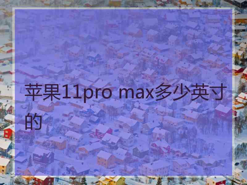 苹果11pro max多少英寸的