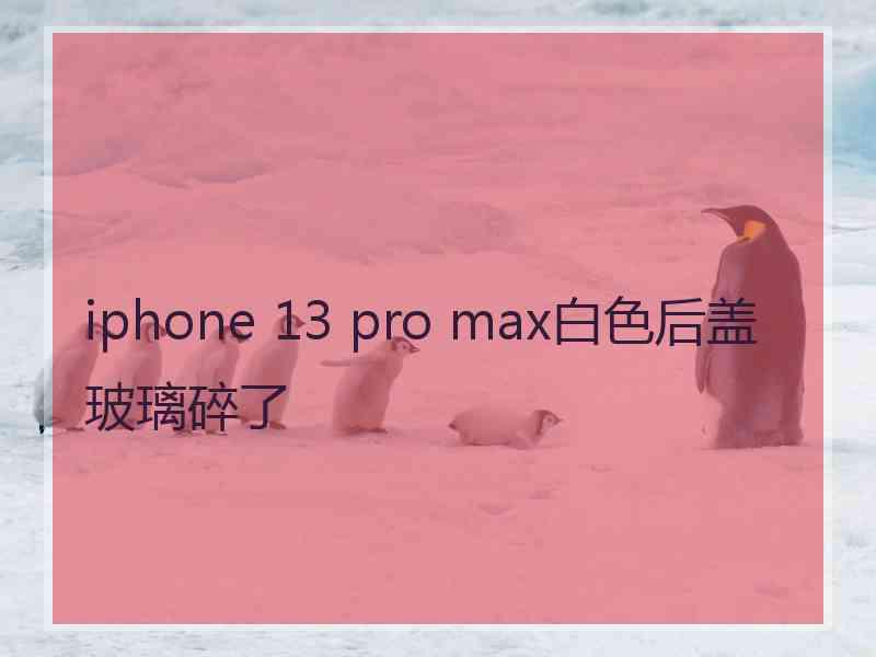 iphone 13 pro max白色后盖玻璃碎了