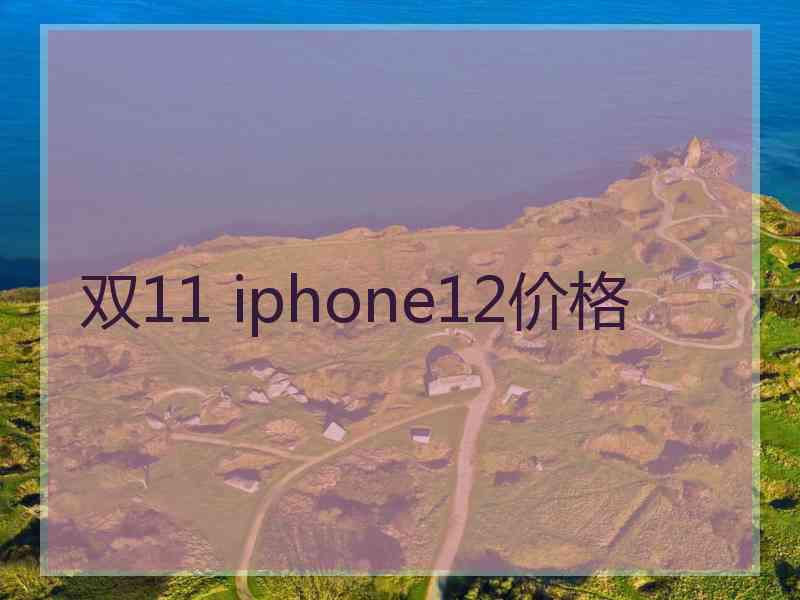 双11 iphone12价格