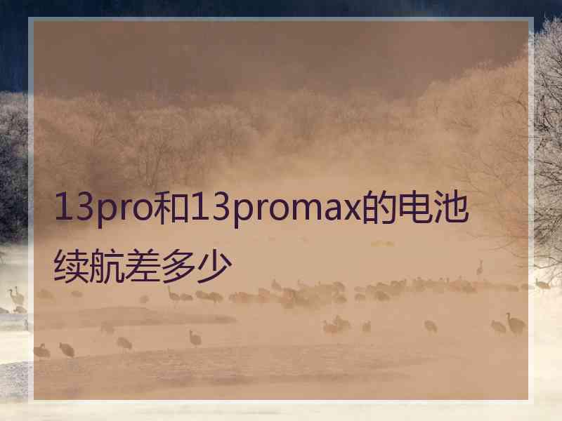 13pro和13promax的电池续航差多少