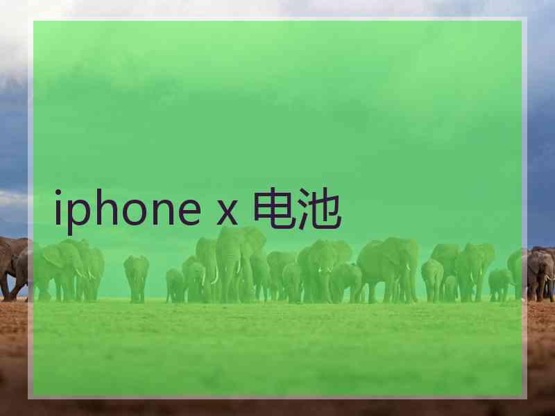 iphone x 电池