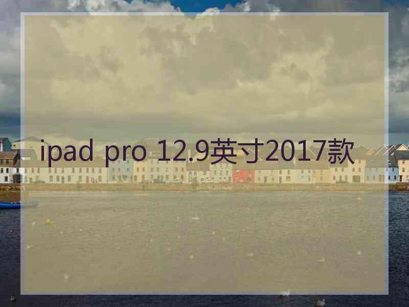 ipad pro 12.9英寸2017款